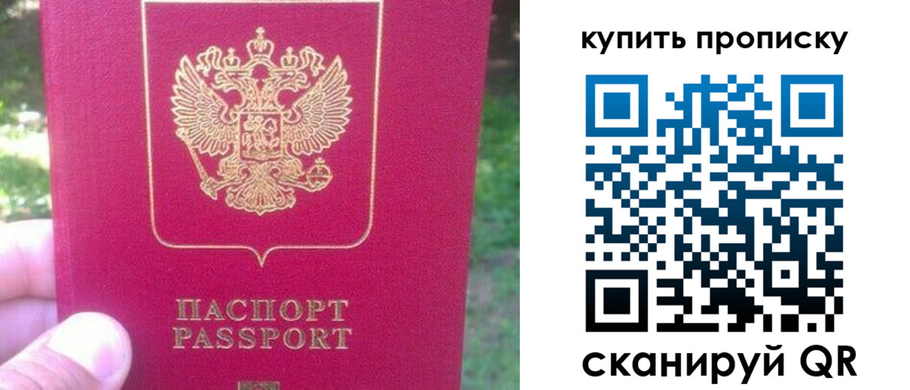 временная регистрация для школы в Павловском Посаде